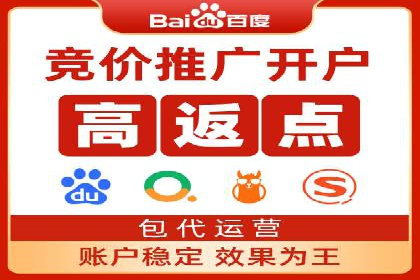 案例分析：百度推广成功案例解析